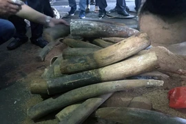 Vietnam’s illegal ivory market is thriving