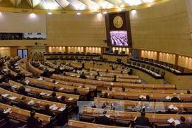 Thai election delayed as NLA approves law enforcement delay