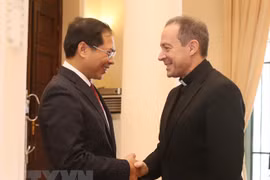 Vietnam-Vatican Joint Working Group convenes seventh meeting 