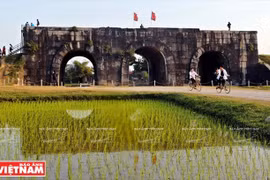 Ho Dynasty Citadel opens for free during Tet