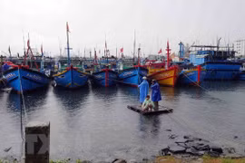 Kien Giang announces list of violating fishing vessels