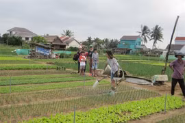 Positive policy making needed for agri-tourism booming