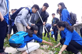 Localities nationwide launch New Year tree planting festival