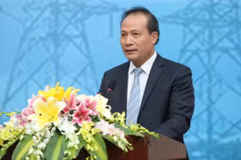  Association works to boost Vietnam-Africa friendship