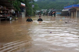 Vietnam among worst hit nations by extreme weather in past 20 years