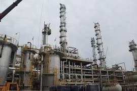 Government approves restructuring of Vinachem