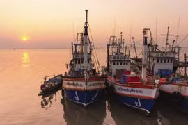 Thai government urgently tackling IUU fishing