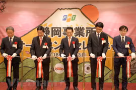 Japan - Potential market for Vietnam’s IT firms 