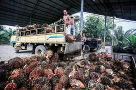 Switzerland, Indonesia agree on free trade deal 