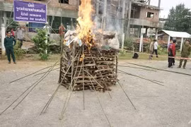 Drug-burning ceremonies mark World Drug Day in Southeast Asian