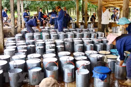 Rubber industry needs better adaptation to market