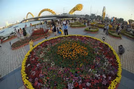 Da Nang to set livable city criteria