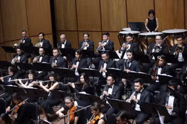 Greek conductor to perform at Christmas concert in HCM City