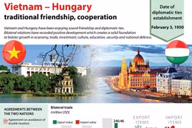 Vietnam-Hungary economic ties have large room to grow 