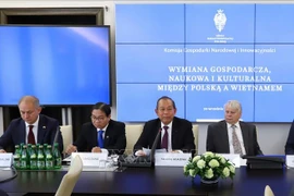 Government encourages Vietnam-Poland cooperation: Deputy PM
