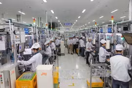 Deputy PM hails overseas Vietnamese businesses’ efforts