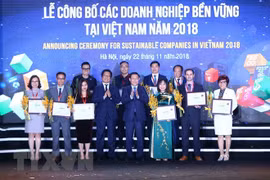 Vietnam announces top 100 sustainable enterprises in 2018 