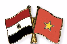 Congratulations on 55th anniversary of Vietnam-Egypt ties