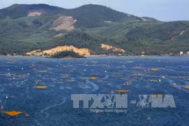 Xuan Dai Bay targets 1.2 million visitors in 2030