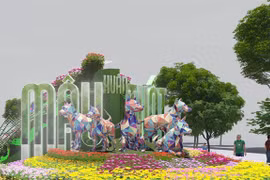 HCM City hosts cultural, amusement events during Tet