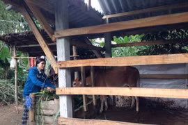 Vietnam shares experiences in poverty reduction at UNGA 73
