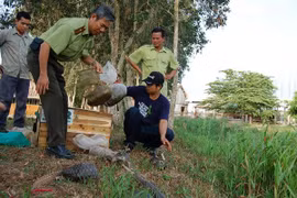 Measures taken to preserve biodiversity in U Minh Thuong National Park