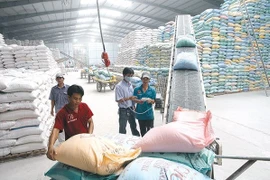 World Rice Conference to be held in Hanoi next month