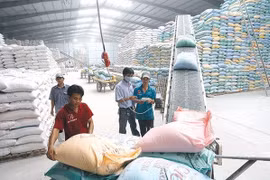 World Rice Conference to be held in Hanoi next month
