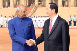 Vietnamese President meets with Indian counterpart