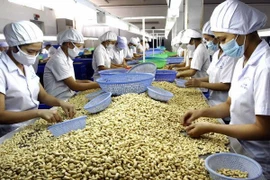Dong Nai takes drastic measures to maintain growth rate