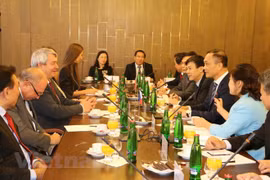 Vietnamese, Czech legislatures look to boost ties 