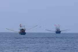Breakthroughs made in marine resource management 