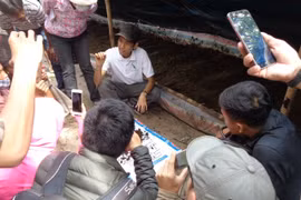 Worms can revive polluted farms