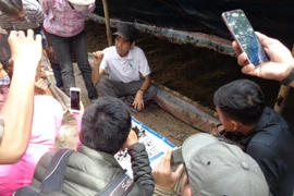 Worms can revive polluted farms