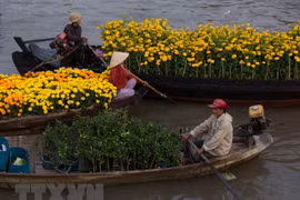 Can Tho city strives hard to make tourism key industry