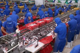 US’s antidumping duty ruling lacks legal basis: VASEP