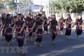 Tay Nguyen Gong Culture Festival closes