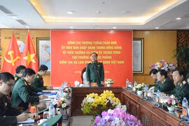Vietnam peacekeeping agency urged to improve training quality