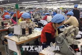 EVFTA to act as catalyst for textile, footwear exports: experts 