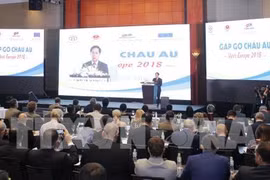 Vietnam, EU boast high potential to bolster partnership