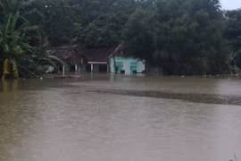 At least seven die, go missing due to storm Bebinca