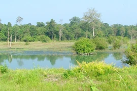 Tay Ninh expands Lo Go-Xa Mat national park