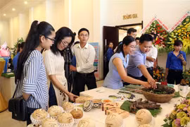 Ben Tre hosts Mekong startup festival for young people