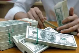 Reference exchange rate jumps 20 VND