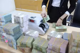 Nearly 500 mln USD worth of G-bonds mobilised in March