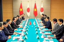 Vietnam, Japan seek new development phase for ties 