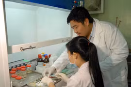 Vietnam develops vaccines for human diseases