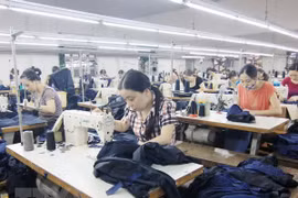 Project looks to ensure safe, fair labour migration for ASEAN women