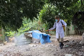Phu Yen declares end to A/H5N6 outbreak 