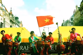 Vietnam impresses Prague international art festival